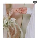 트렌디로그 - 고양시 일산동구 백마로 223 | 웨딩촬영 스튜디오 비교 후기 | 볼라르 · 바오그 · 피아 · 제이로그 · 소솔 (스드메 결정기 1탄)