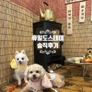 카페아지 - 속초시 설악산로 263-6 | 진해 휴일도 애견카페+찜질방 후기｜이색데이트로 좋겠지만 개물림사고를 곁들인.