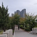 10월 9일 아침걷기 이미지