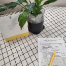 놀작마이아트아트로코미술교습소