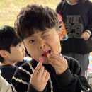 덕정 농장 이미지