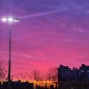 남판교 공인중개사사무소 이미지