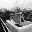 효자1동 주민센터 이미지