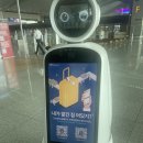 WOW PC ZONE | 하와이 신혼여행 1탄_인천공항 제2터미널 대한항공 KE503 탑승후기(특별식-글루텐프리)