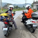 형제조류 이미지