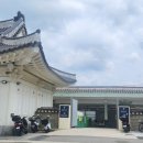 동물의 왕국 | [전북한달여행 ep.2-1] 동물의 왕국 전주(전주동물원,남부시장-야시장, 독립서점)