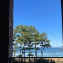 고투앤드플레이 | 10월 일상 ㅣ 가을캠핑,강릉여행,소비기록(미샤/프론트로우/메비코트),오페라의유령 취켓팅 성공