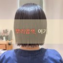 한티 | 대치동 뿌리염색 잘하는 곳｜2년 넘게 다닌 무이한티점 솔직 후기