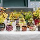 스위스마을113동 이미지