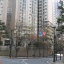 샘모루초교 이미지