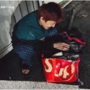 디자인지디 이미지