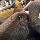 동진수선 이미지