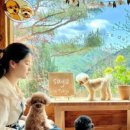 이유여행사유 이미지