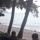 염포야영장 이미지