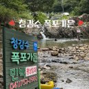 청강수계곡펜션 | [청강수 폭포가든] 대전근교 계곡 &amp; 애견동반 계곡 후기