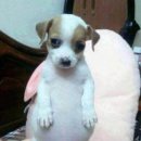 이수도 1박3식 예쁜민박 이미지