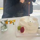 YOON FOREST 이미지