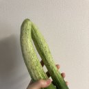 (주)진로식자재마트 이미지