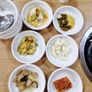 천년오리 이미지