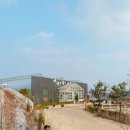 충영농장 | 용인나들이/용인곤충테마파크 곤충박물관구경 달걀훔쳐오기 나무집에서놀기 동물먹이주기