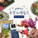 노션 일기✨8주차 | 노션 위클리 플래너 노션 주간 플래너