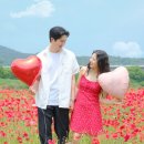 맑은세상함안점 | 5월 함안 꽃밭여행 (악양생태공원+악양둑방+짹짹커피)