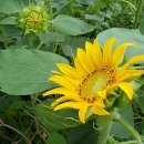 지금 장수농장 이미지