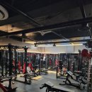 머슬엑스짐 이미지