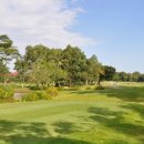 한진카써비스 이미지