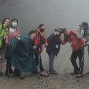 팬플룻연주그룹 팬타곤 이미지