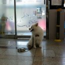 울산 이승진동물병원 이미지