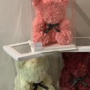 모이스블룸