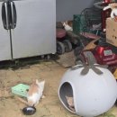 청매당펜션.민박