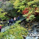 월산무릉아트프라자 이미지