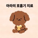 아라동물병원아라메디칼