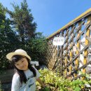 자연생태교육 ㅡ 🍎애플수박 탐색하기 🍉🍉 이미지