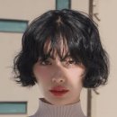 대전 갈마동 오늘뭐헤어 1인샵 반곱슬 일반펌 후기/가격