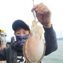 (주)세강 이미지