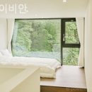 스테이비안 이미지