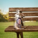 팔레드시즈 이미지