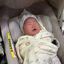 파라다이스스파도고 더 라운지 디 | 디어원산후조리원 후기 ㅣ 리무진서비스 ㅣ 내부시설 ㅣ 미즈메디병원 연계 산후조리원