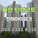 쌍용2차B | 울산 탄성코트 전하아이파크 크렉 및 오염 제거 후 시공