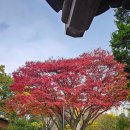 남양주 궁집 | 남양주 궁집(23.10.26)