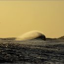 나의바다 이미지