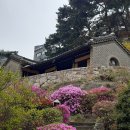 석파랑 2.0 | 서울 문화유산 투어 - 흥선대원군이 사랑한 석파정 별당, 그리고 석파랑
