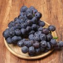 (주)거봉 이미지