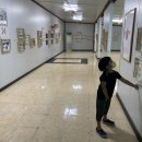 원주곤충마을박물관 이미지