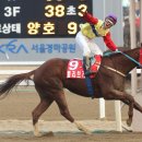 서울건재 이미지