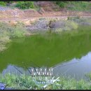 주천소류지 이미지