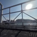 동광어시장 | 영덕 강구항 동광어시장 대게 내돈내산 먹고 온 후기(+포장)